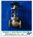 JIS F7334A 5K Marine Brass Hose Globe Valve 4