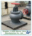 Marine Cast Iron Screw Down  Check Globe Valve JIS F7353 5K 5