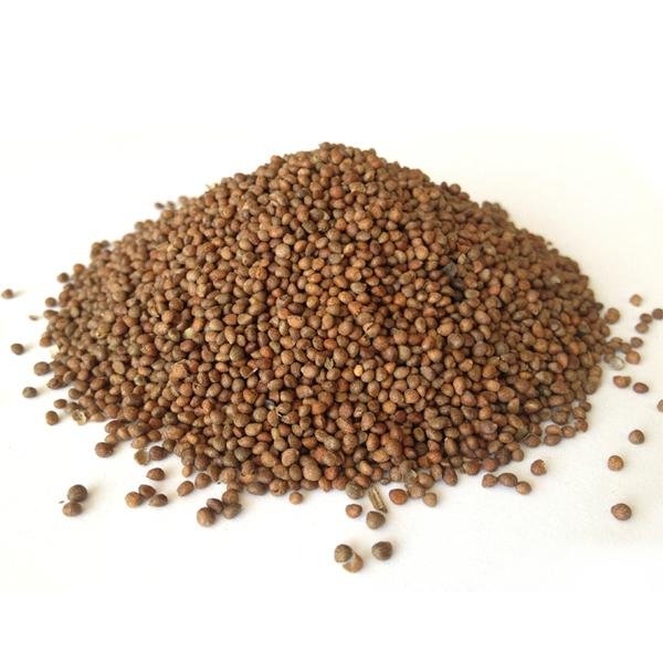 Plant Extract Bulk Omega3 Perilla Seed Oil Rich in ALA for Health Care 4