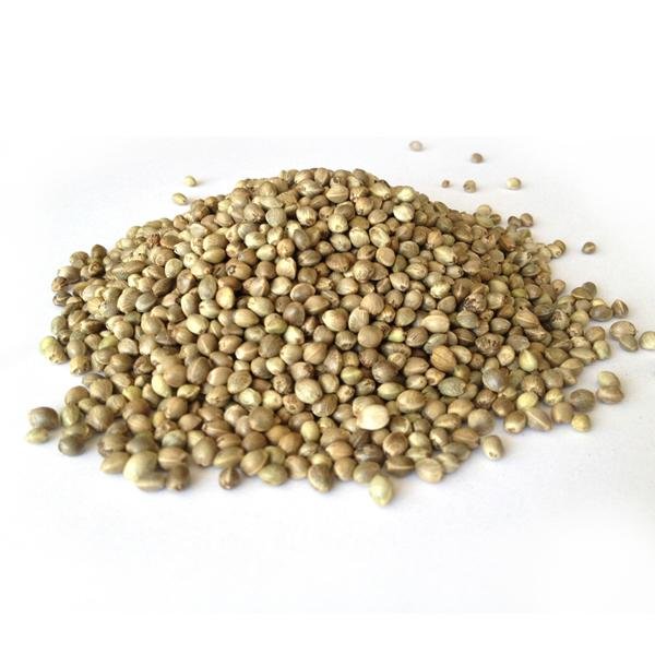 Bulk Oil Pure Hemp Seed Oil with High Nutritional Value for Body Care From China 4