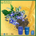 High GLA Bulk Plant Oil Borage Oil with Medical Efficacies 