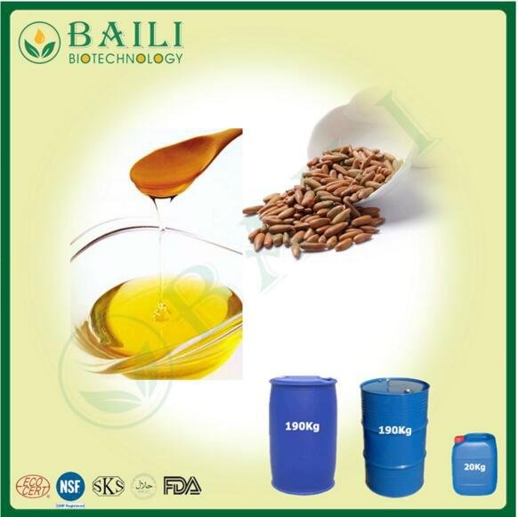 Plant Extract Pure Pine Nut Oil for Medicine Use