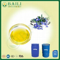 Natural Plant Extract Cold Pressed Bulk Borage Oil for Beauty