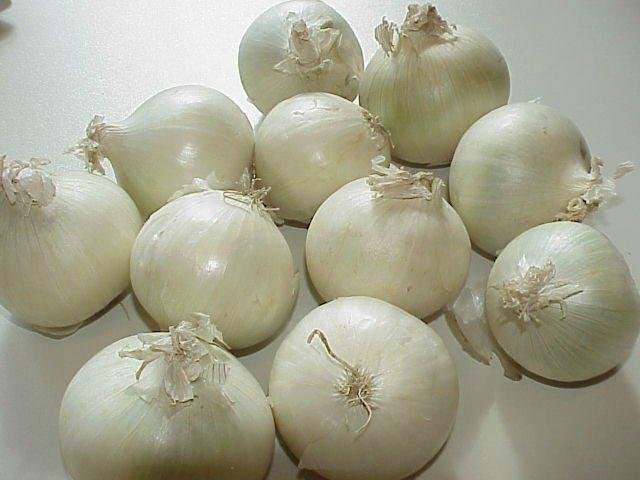 Onion 3