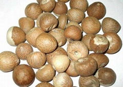 Areca Nut