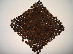 Black Pepper