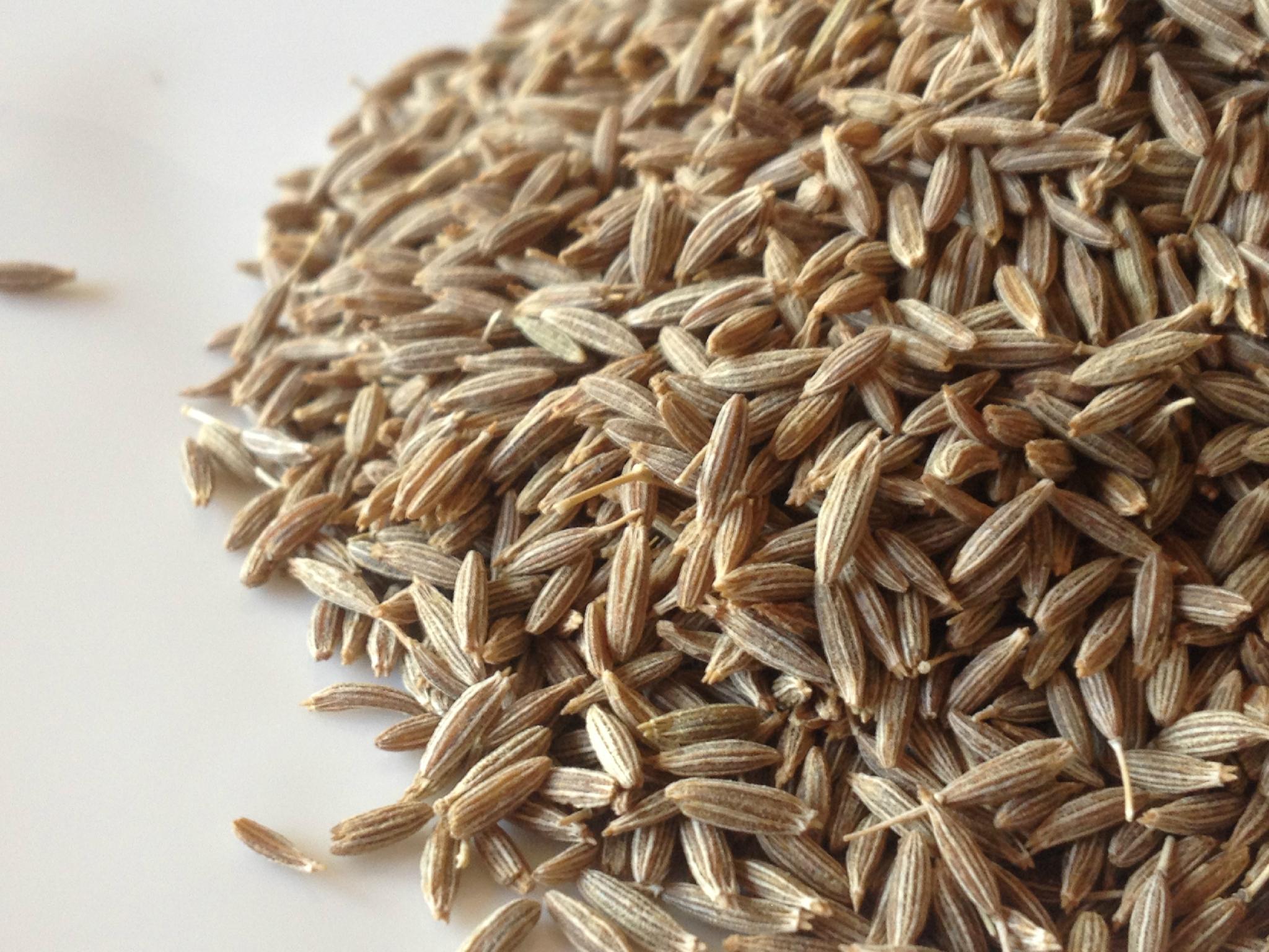 Cumin As required As required (India Trading Company) Plant Seed