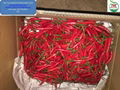 CHILLI - FRESH FROZEN DRIED