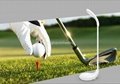 Golf Foldable Eye-protection Table Lamp 5