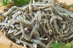 Sun dried anchovy fish