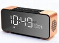 Portable Wireless Bluetooth Speaker PTH-305 Support FM Radio TF Time/Alarm Clock