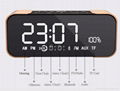 Portable Wireless Bluetooth Speaker PTH-305 Support FM Radio TF Time/Alarm Clock