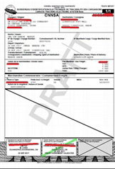 Chinese agent  Of BIETC Certificate Of Sea Freight