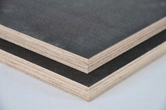 black film faced plywood