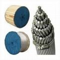 Bare All Aluminum Alloy Conductor  for