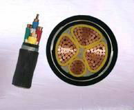Copper Conductor Armoured XLPE Power Cable 2