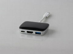 Type C USB 3.1 to HDMI  USB 3.0 