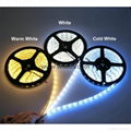 5m 5630 IP65 waterproof LED Strip Light 12V 60LEDs Led Tape outdoor light 