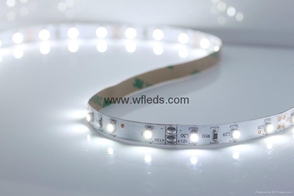 LED Strip Non-waterproof 3528 5050 Flexible Light DC12V 60LEDs 5M led tape light