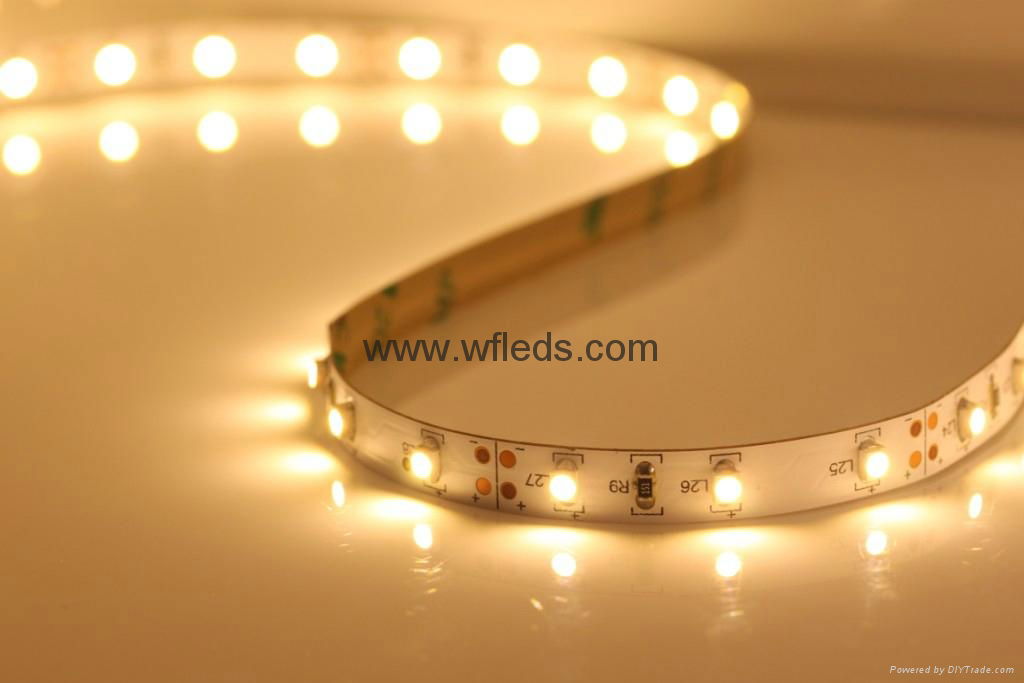 LED Strip Non-waterproof 3528 5050 Flexible Light DC12V 60LEDs 5M led tape light 2