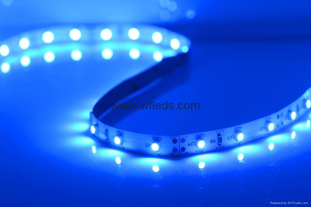 LED Strip Non-waterproof 3528 5050 Flexible Light DC12V 60LEDs 5M led tape light 3