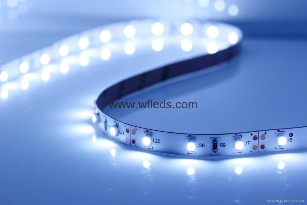 LED Strip Non-waterproof 3528 5050 Flexible Light DC12V 60LEDs 5M led tape light 5