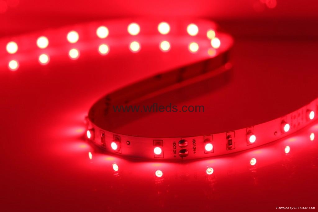 Safe DC12V LED Ribbon Led Strip Lights SMD 3528 16.4 Ft 5M 300LEDs