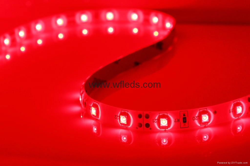 Tira de led flexible de 5 metros SMD 3528 60 led/m Azul 16.5FT 5M 3528 SMD led 4