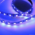 Super Bright 5050 LED Strip Lights, Tape, Rope Light BLUE 12V 5050 STRIP LIGHT 5