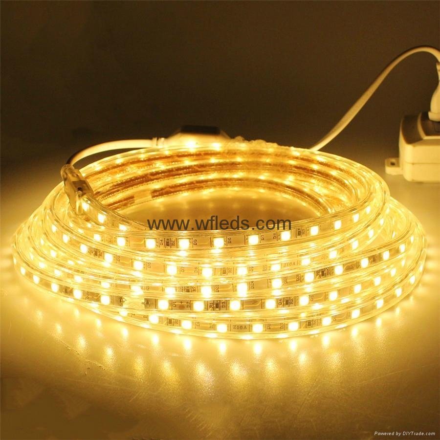 Lampes LED ruban led 220v 110v  Bleu blanc flexible LED strip lights smd5050 