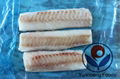 Frozen Alaska Pollock Loin 1