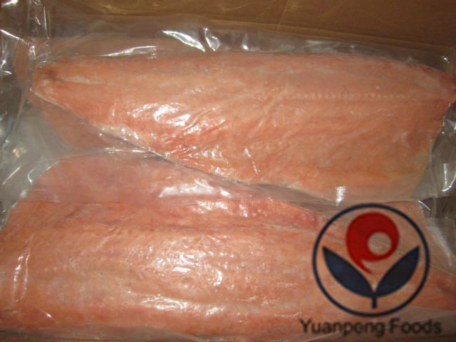 Frozen Chum Salmon skin-on