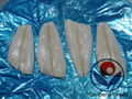 Frozen Arrowtooth Flounder skinless or skinon 1