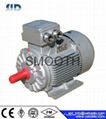 YE3 Series Super-High Efficient motor 1