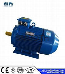 DITP Frequency Conversion Motor