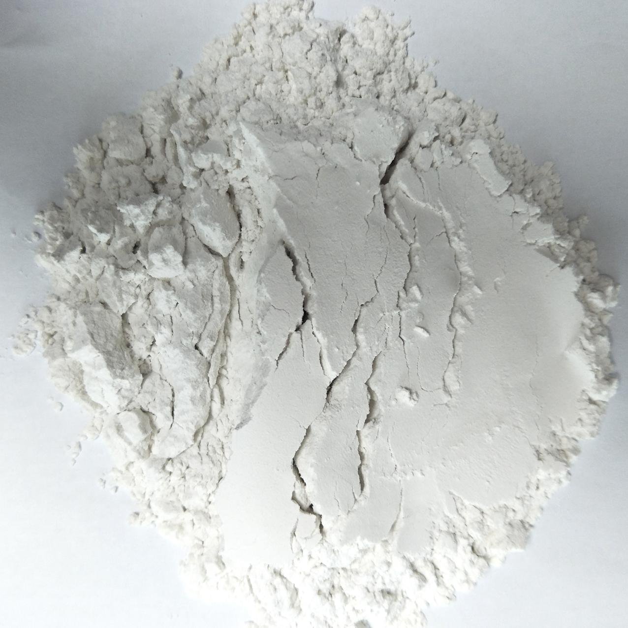 廠家供應優質煅燒硅藻土 超細硅藻土粉 優質硅藻土 硅藻土粉 4