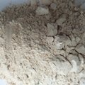 廠家供應優質煅燒硅藻土 超細硅藻土粉 優質硅藻土 硅藻土粉 1