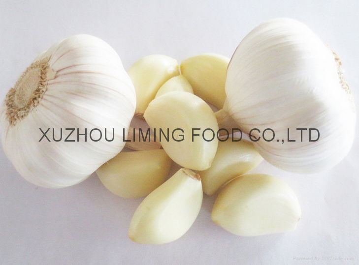 fresh garlic from china 3