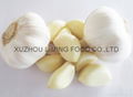 fresh garlic from china 3