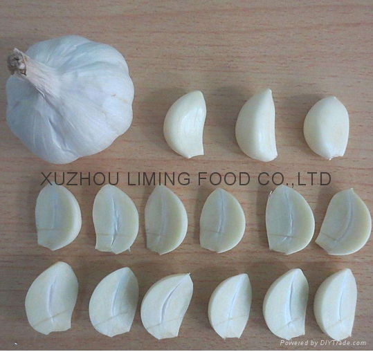 fresh garlic from china 4