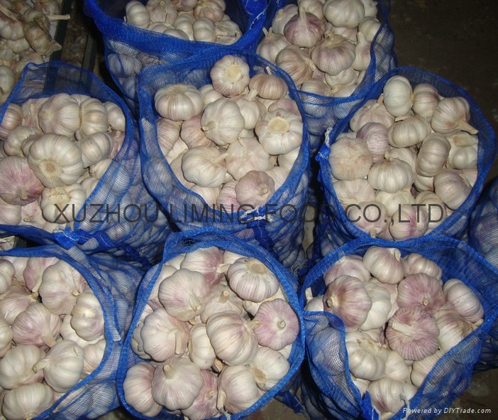 fresh garlic from china 5