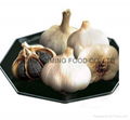 black garlic 1