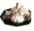 black garlic