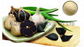 high quality black garlic 2