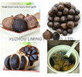 high quality black garlic 4