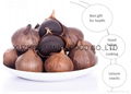 Organic Black Garlic 3