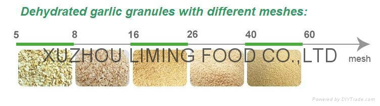 garlic granules 3