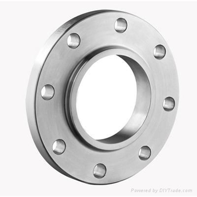 Sanitary Flange 4