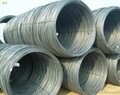 Steel Wire Coil 1