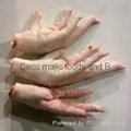 Halal frozen chicken paws for sale Grade